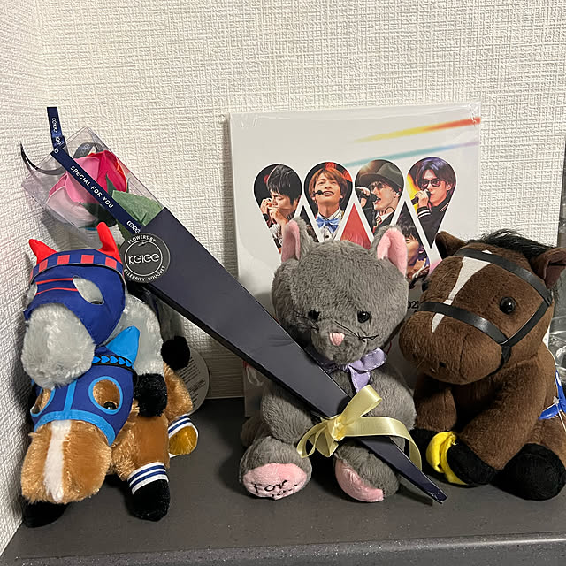 競馬/二人暮し/ねこのいる日常/マンション暮らし/リビングのインテリア実例 - 2022-08-01 17:17:55