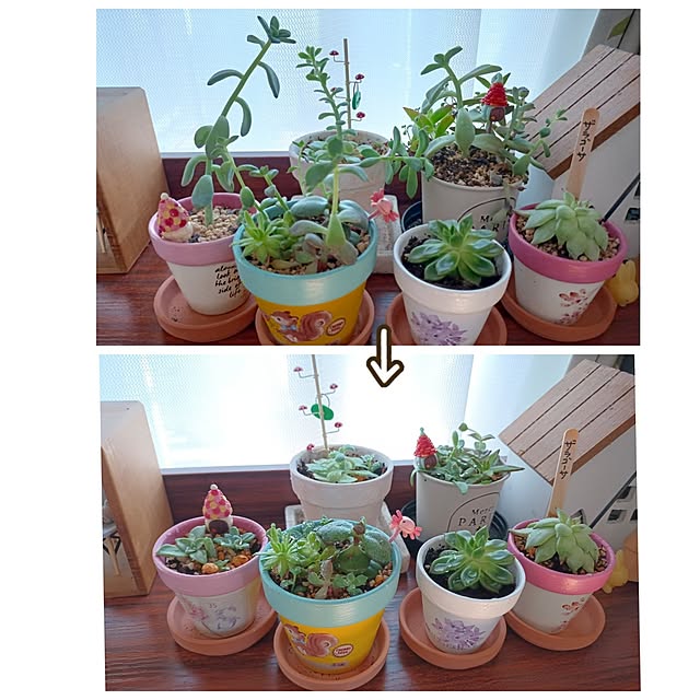 tomo5さんの部屋