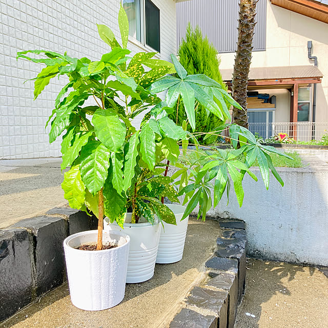 Andreaさんの実例写真