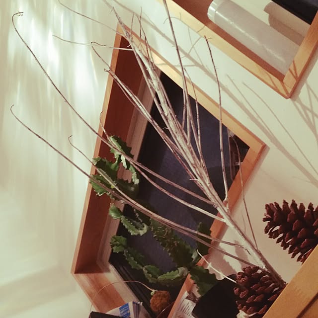 sun-sun.helloさんの実例写真