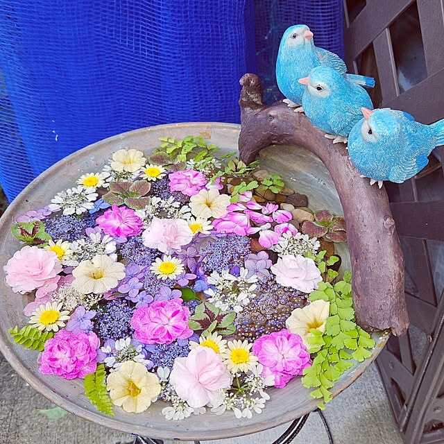mocomocoさんの実例写真