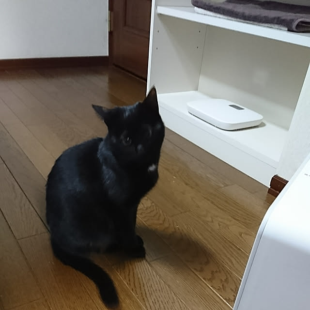Kさんの実例写真