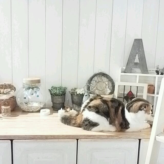 mikiさんの実例写真
