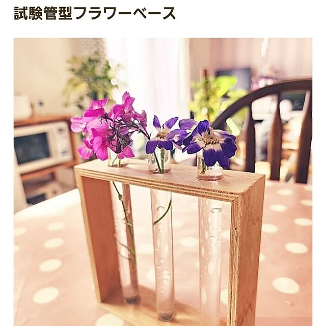 saさんの実例写真