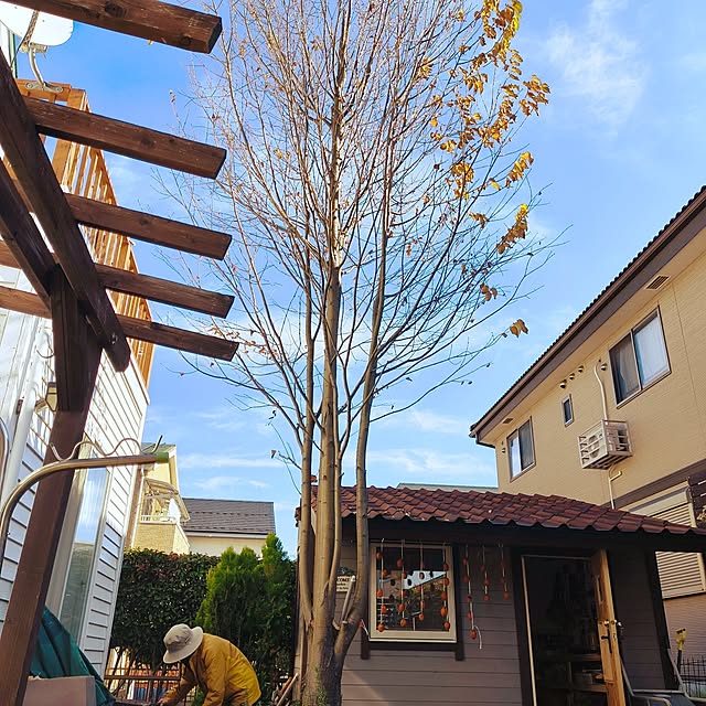 Takeshiさんの実例写真