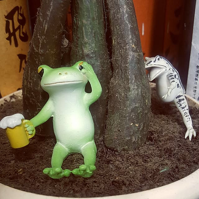 Daisukeさんの実例写真