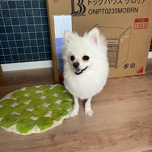 uninekoさんの部屋