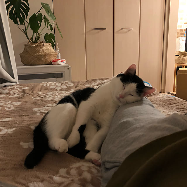 k.Iさんの実例写真