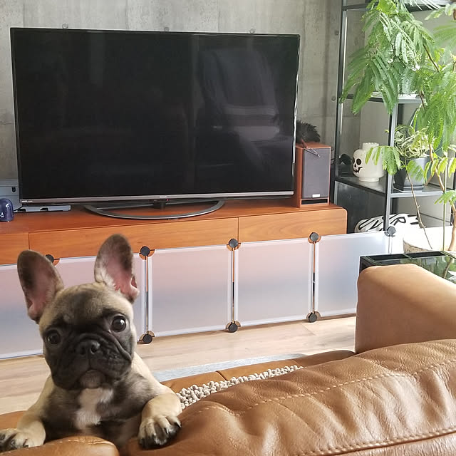 renrenさんの実例写真