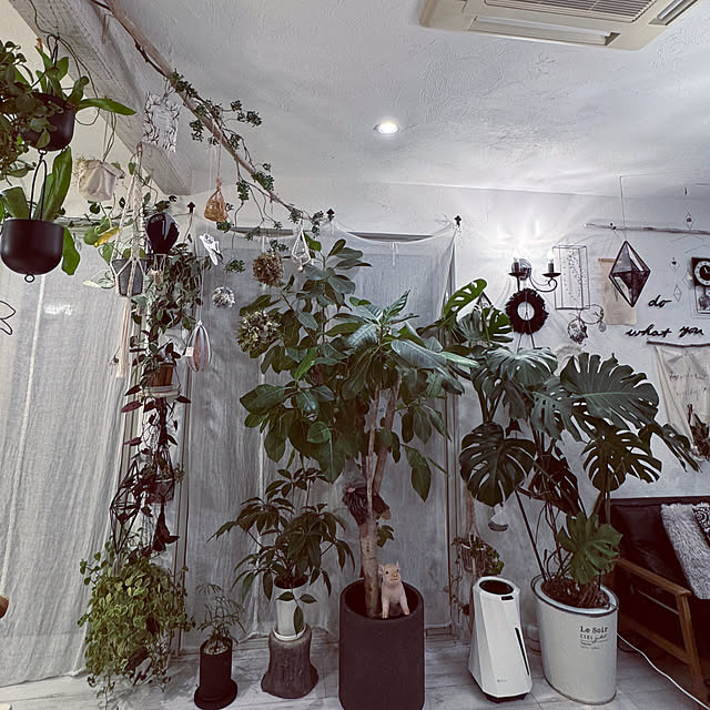 usakoさんの部屋