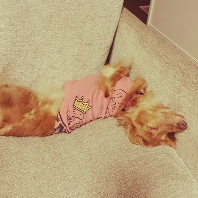 sumireさんの実例写真