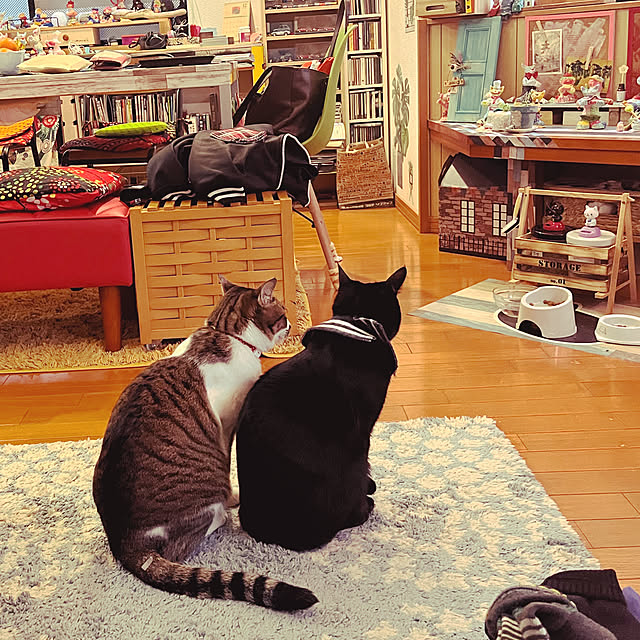 jijiさんの実例写真