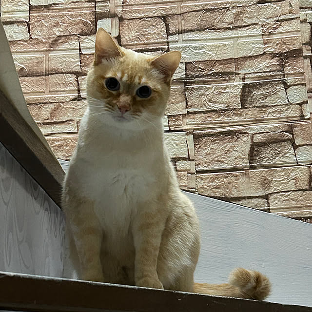ikunyanさんの部屋