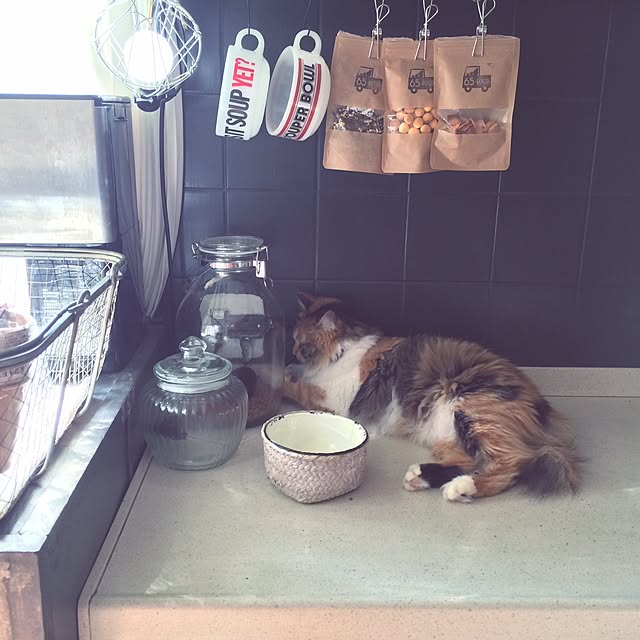 Megumiさんの実例写真