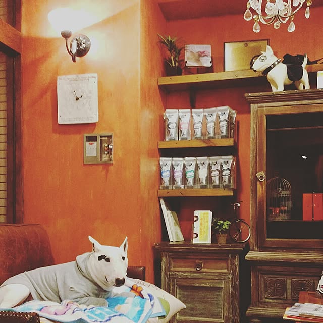 kimuneisanさんの実例写真