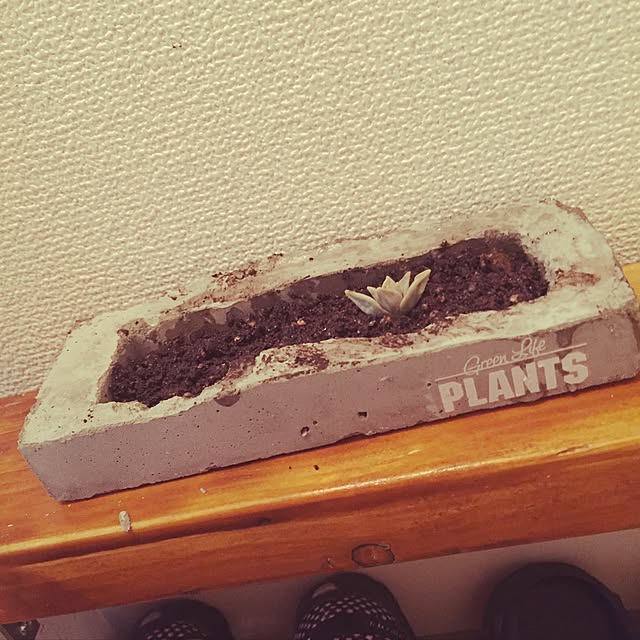 chi86さんの実例写真
