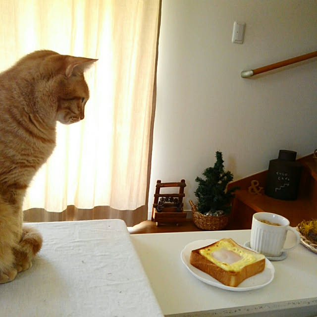 mayutan.さんの実例写真