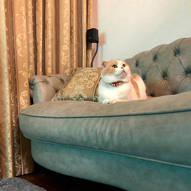 fukuさんの実例写真