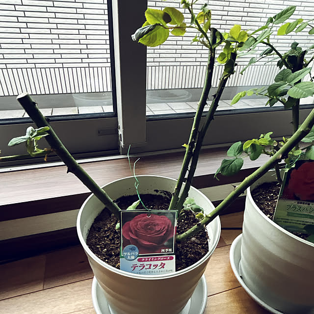 yunyumさんの部屋