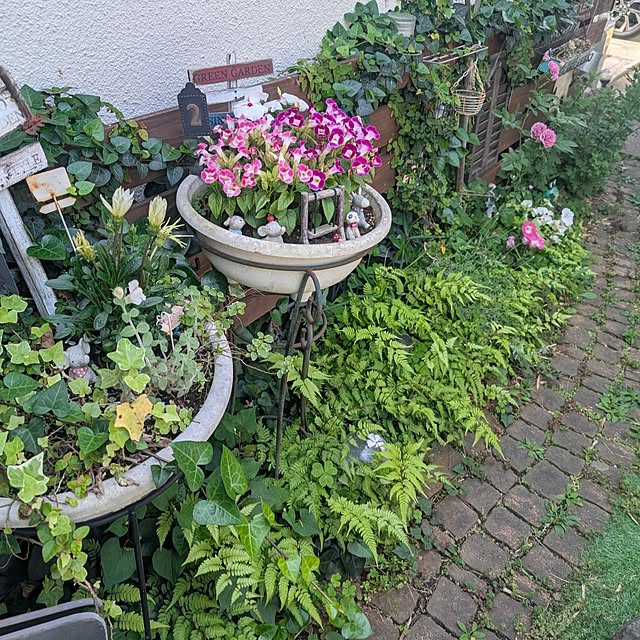 naoporonさんの部屋