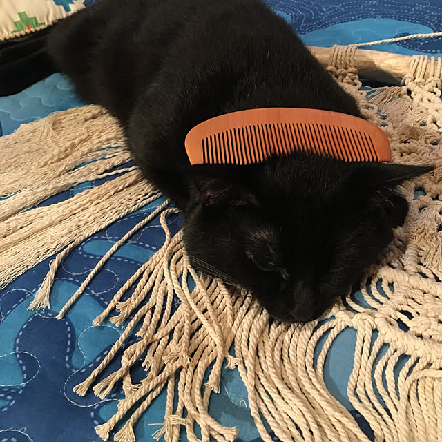 pitaさんの実例写真