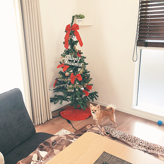 misacatさんの実例写真
