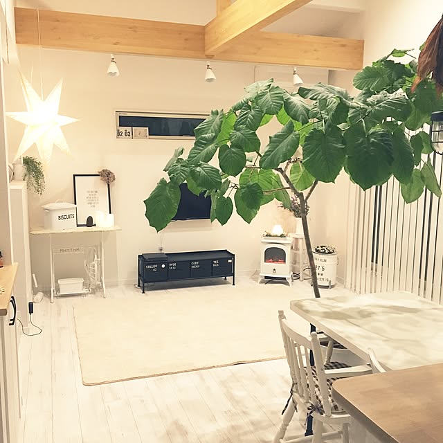 midoriさんの実例写真