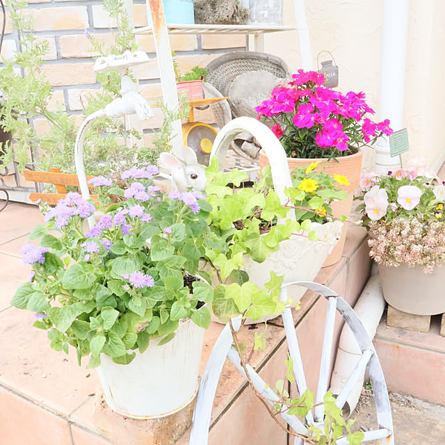 S.homeさんの実例写真
