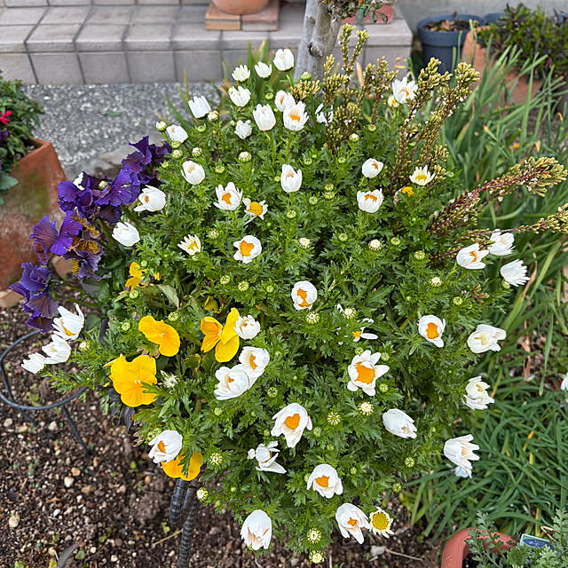 ritsukoさんの部屋