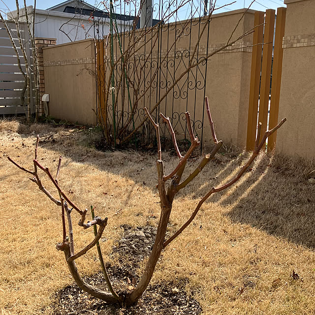 nbby16さんの部屋