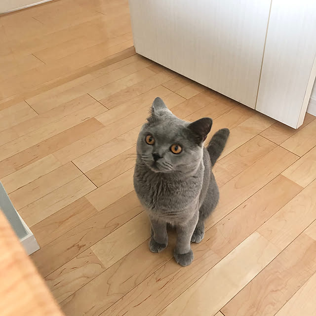 GUMIMINさんの実例写真