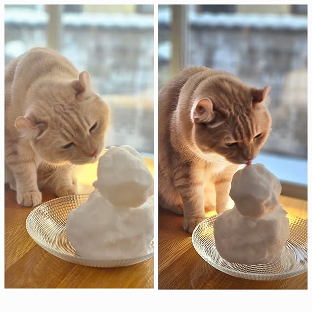 実例写真