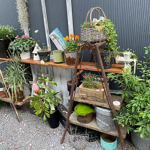 mayumiさんの部屋