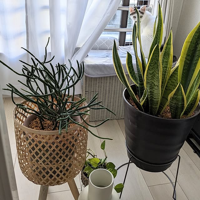 kumiさんの部屋