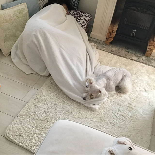 suzyさんの実例写真