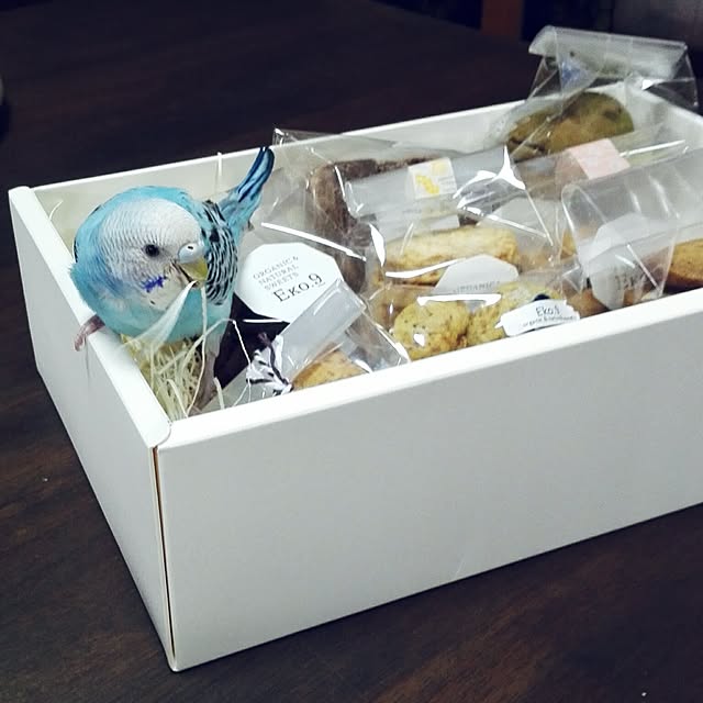 yukkieさんの実例写真
