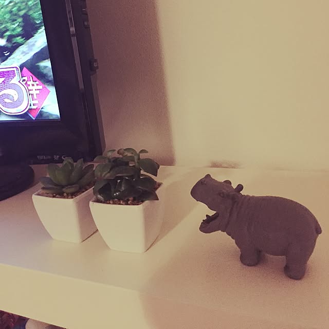 U-iさんの実例写真