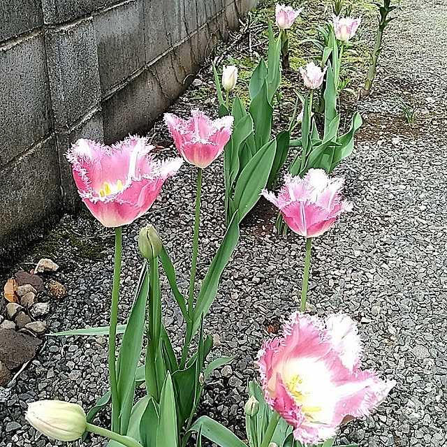 hiroさんの実例写真