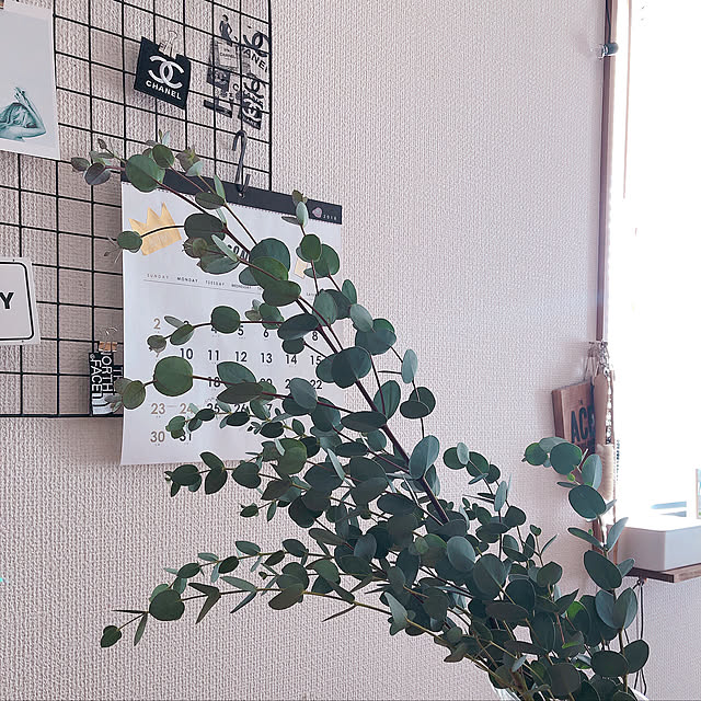 Mckee_8さんの実例写真