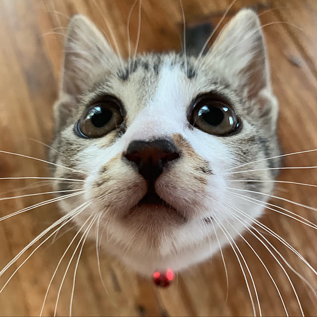 chamさんの実例写真