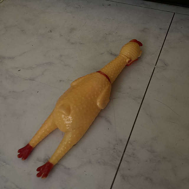 manduonmaさんの実例写真