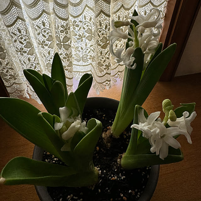 mamizaさんの部屋