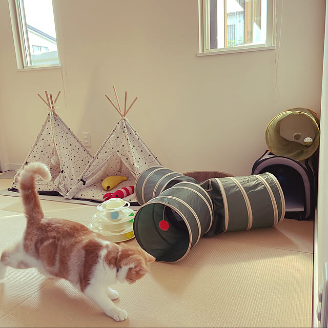 taMAさんの実例写真