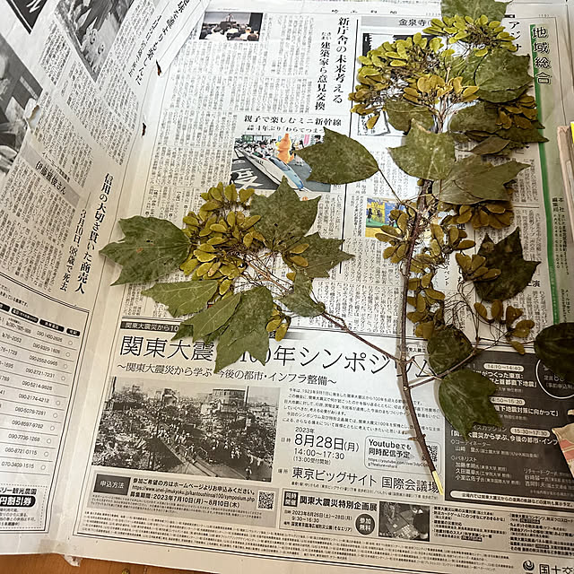 mizucchiさんの部屋