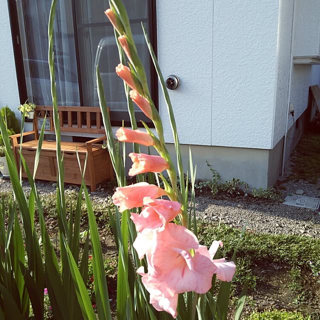 Midoriさんの実例写真