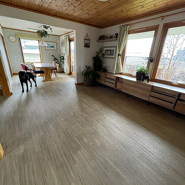 toragenmamさんの部屋