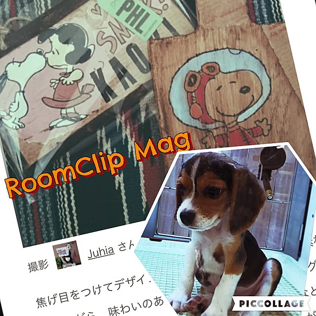 Juhiaさんの実例写真