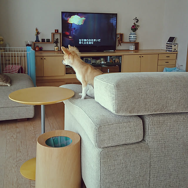 nattimomoさんの実例写真