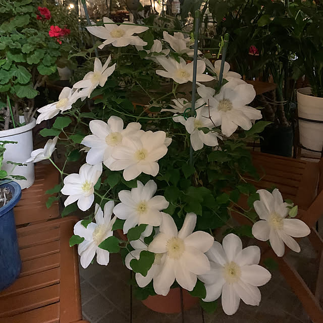 Aqettyさんの部屋