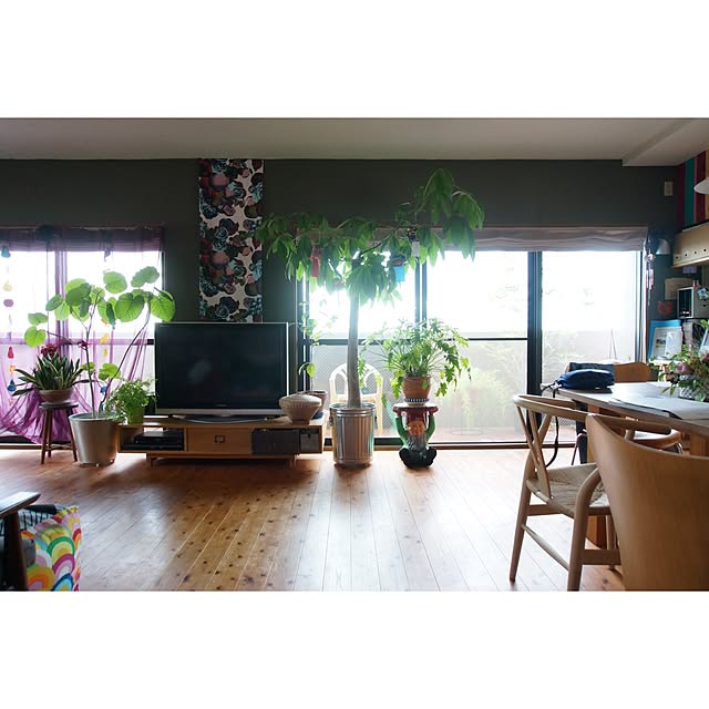 akaneさんの実例写真